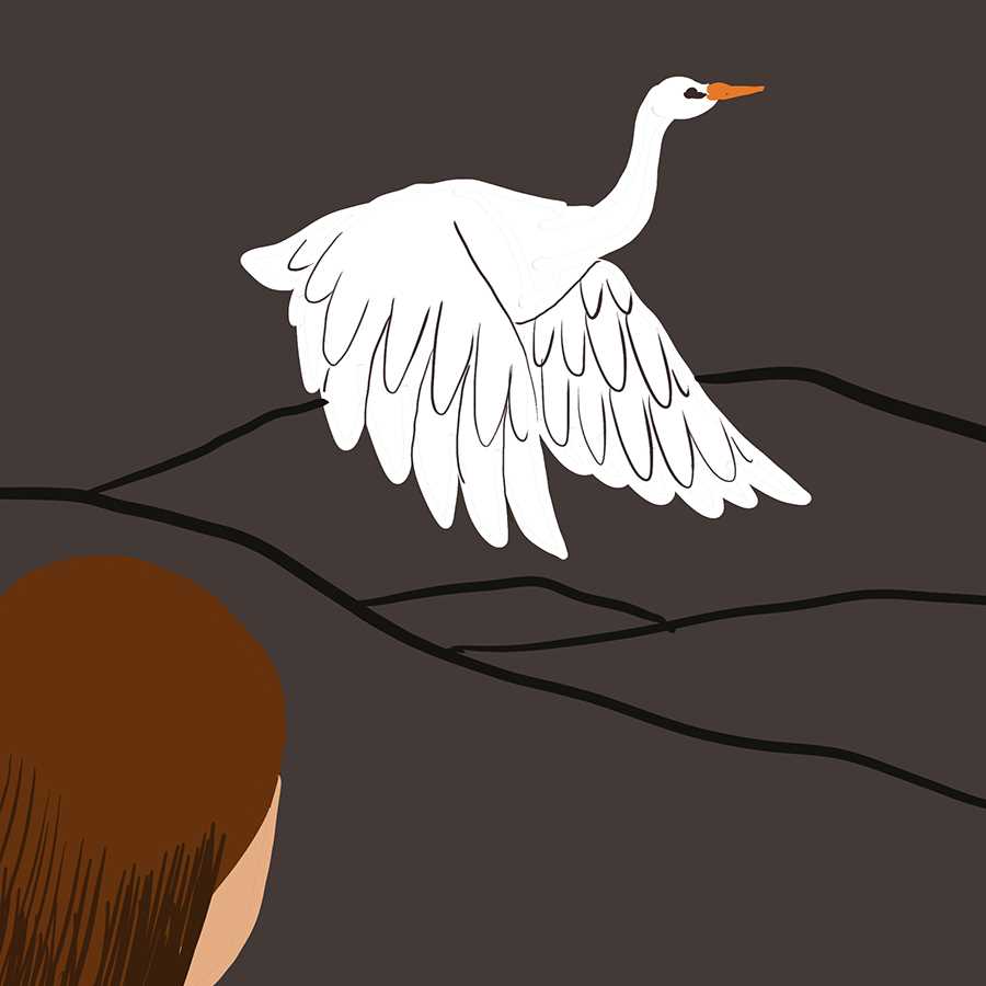 a white heron test answers