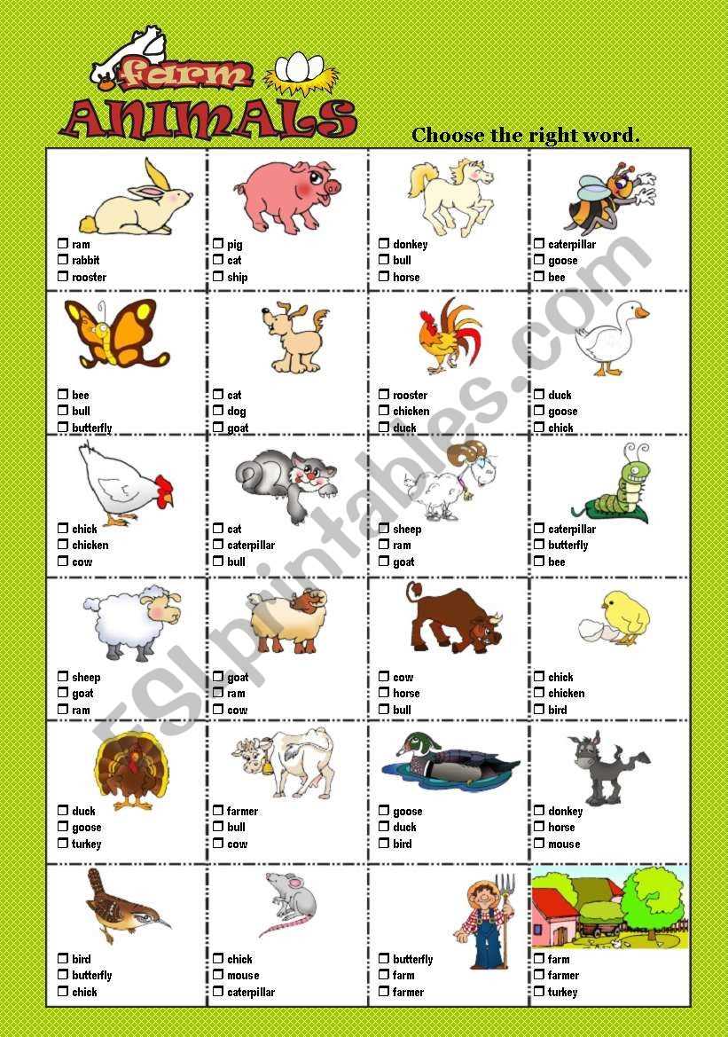 animal farm test multiple choice with answers