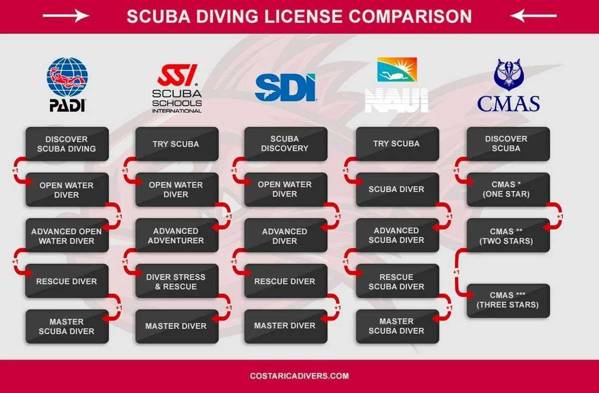 answers to padi open water exam