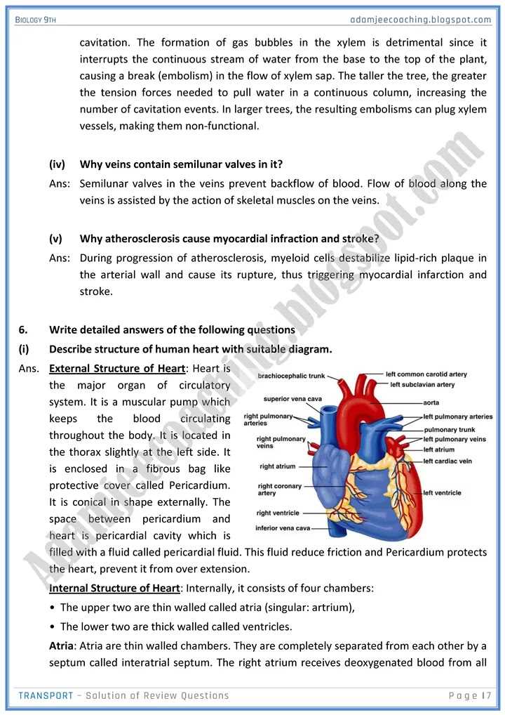 ap biology chapter 9 test answers