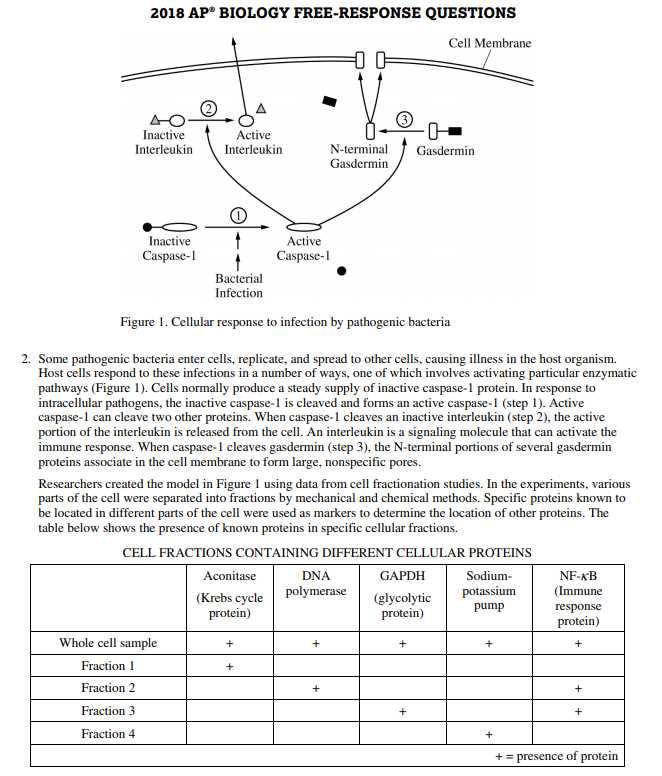 ap biology practice test answers
