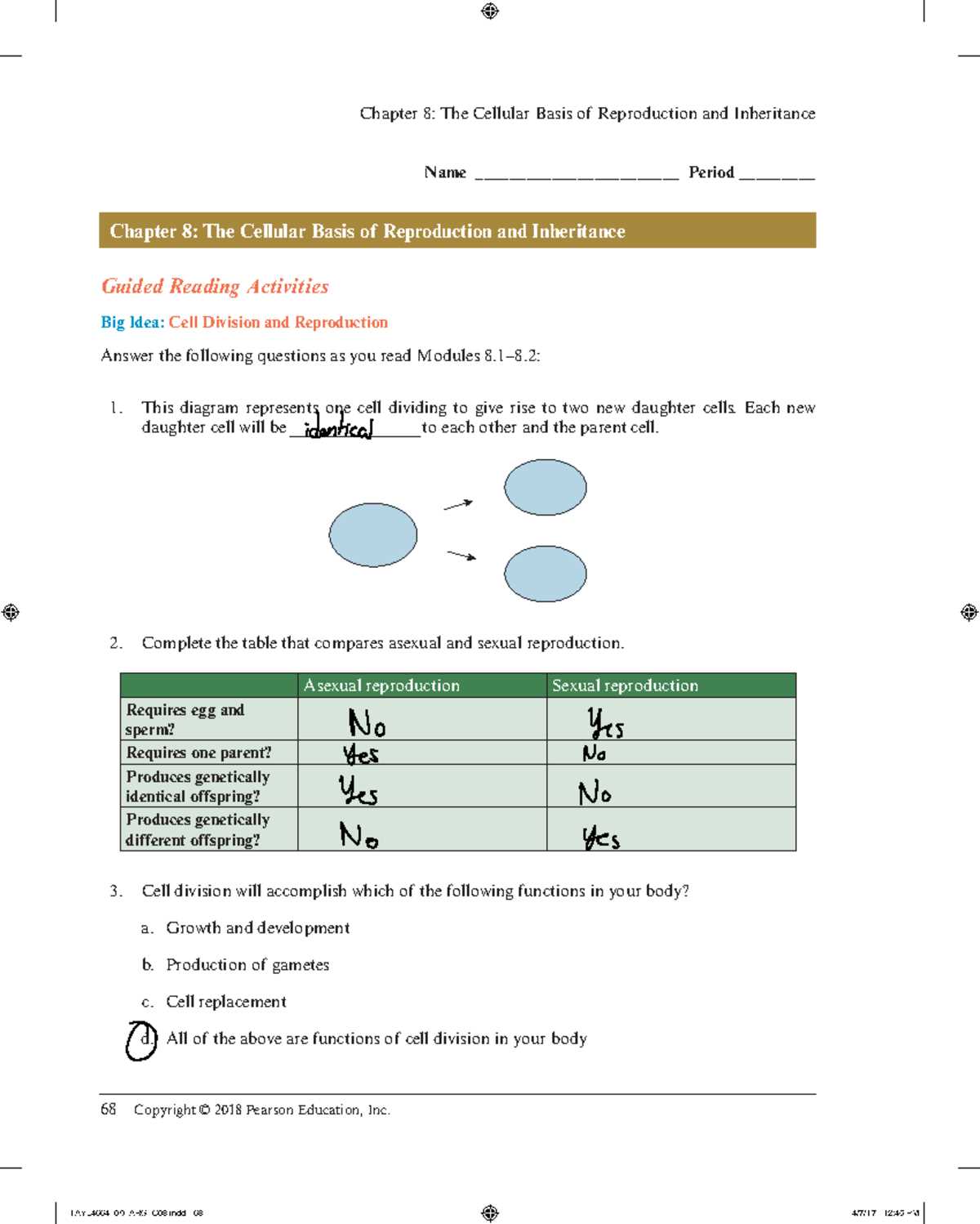 biology chapter 8 test answer key