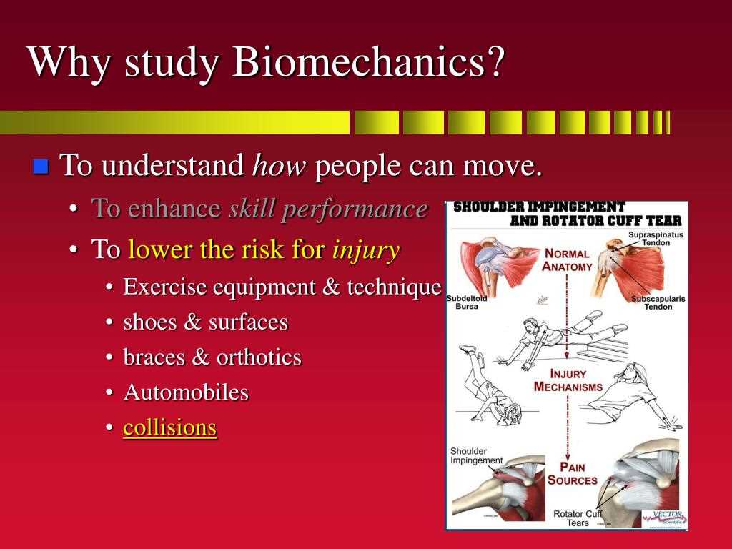 biomechanics exam questions and answers