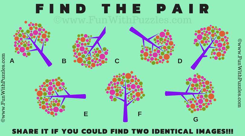 brain test images with answers