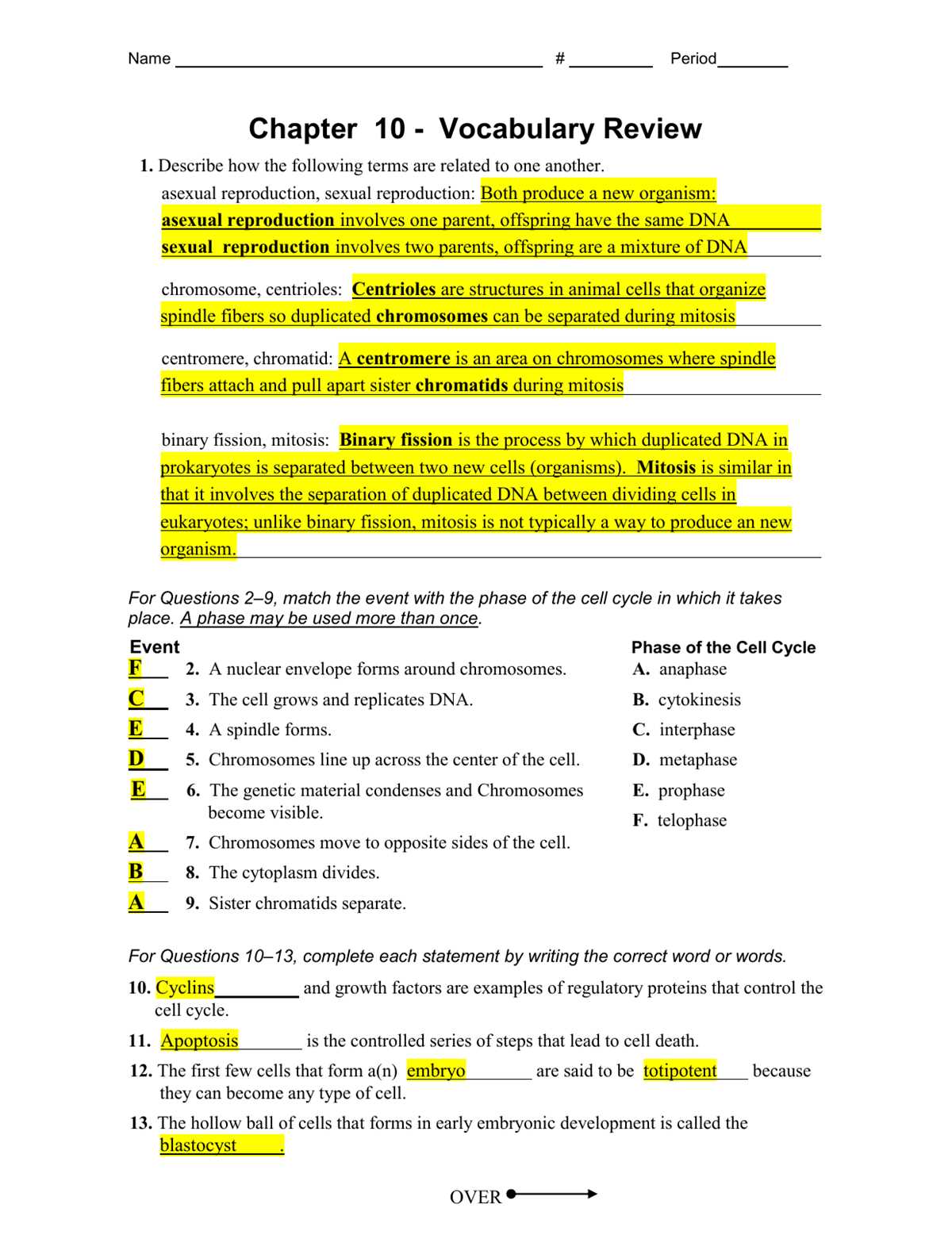 cell division test answer key
