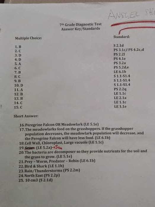 clc 206 test answers