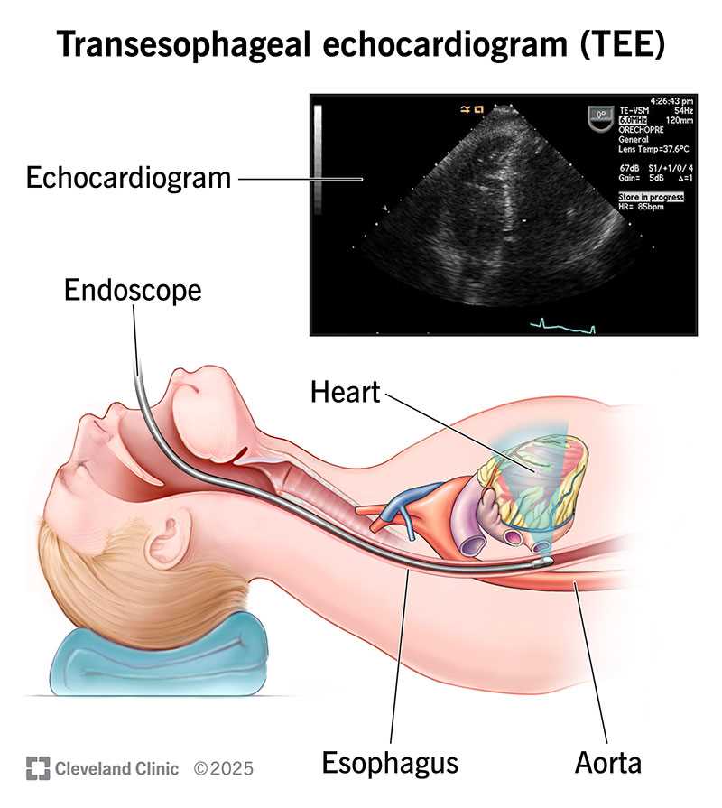 deep sedation test answers