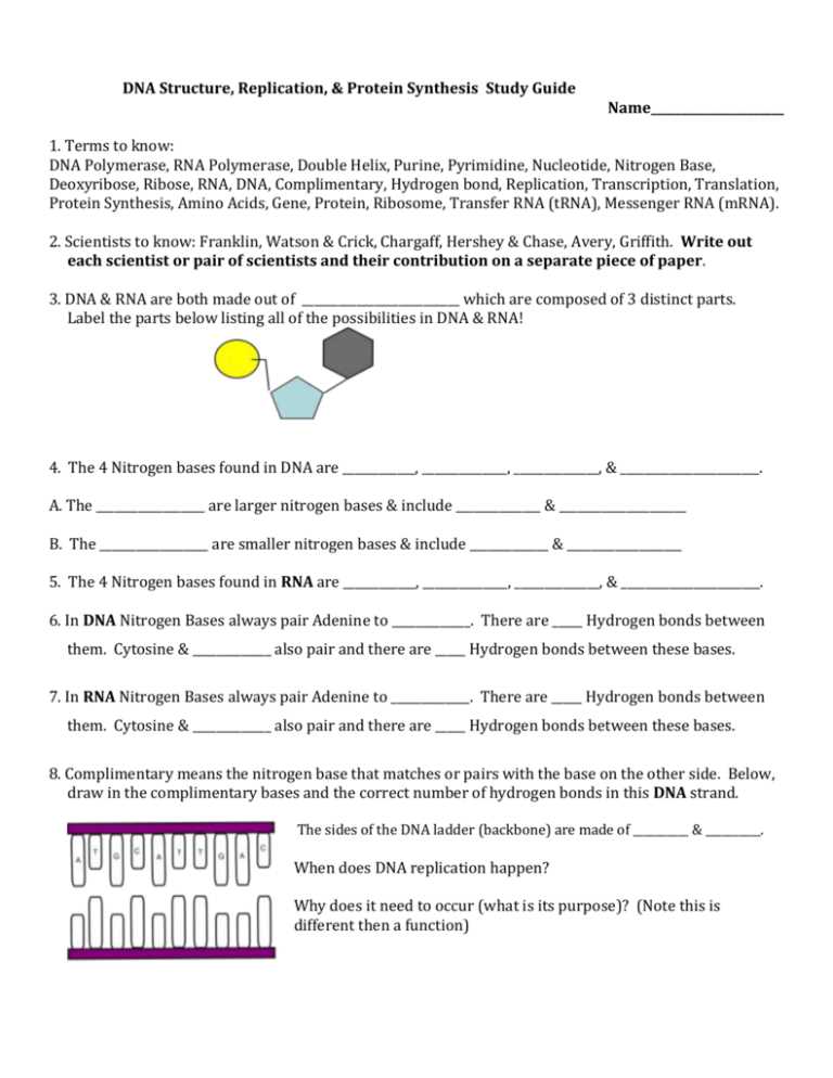 dna and protein synthesis test study guide answer key
