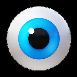 eye test answers roblox