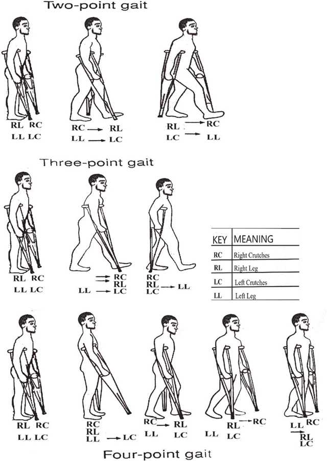 gait exam questions and answers