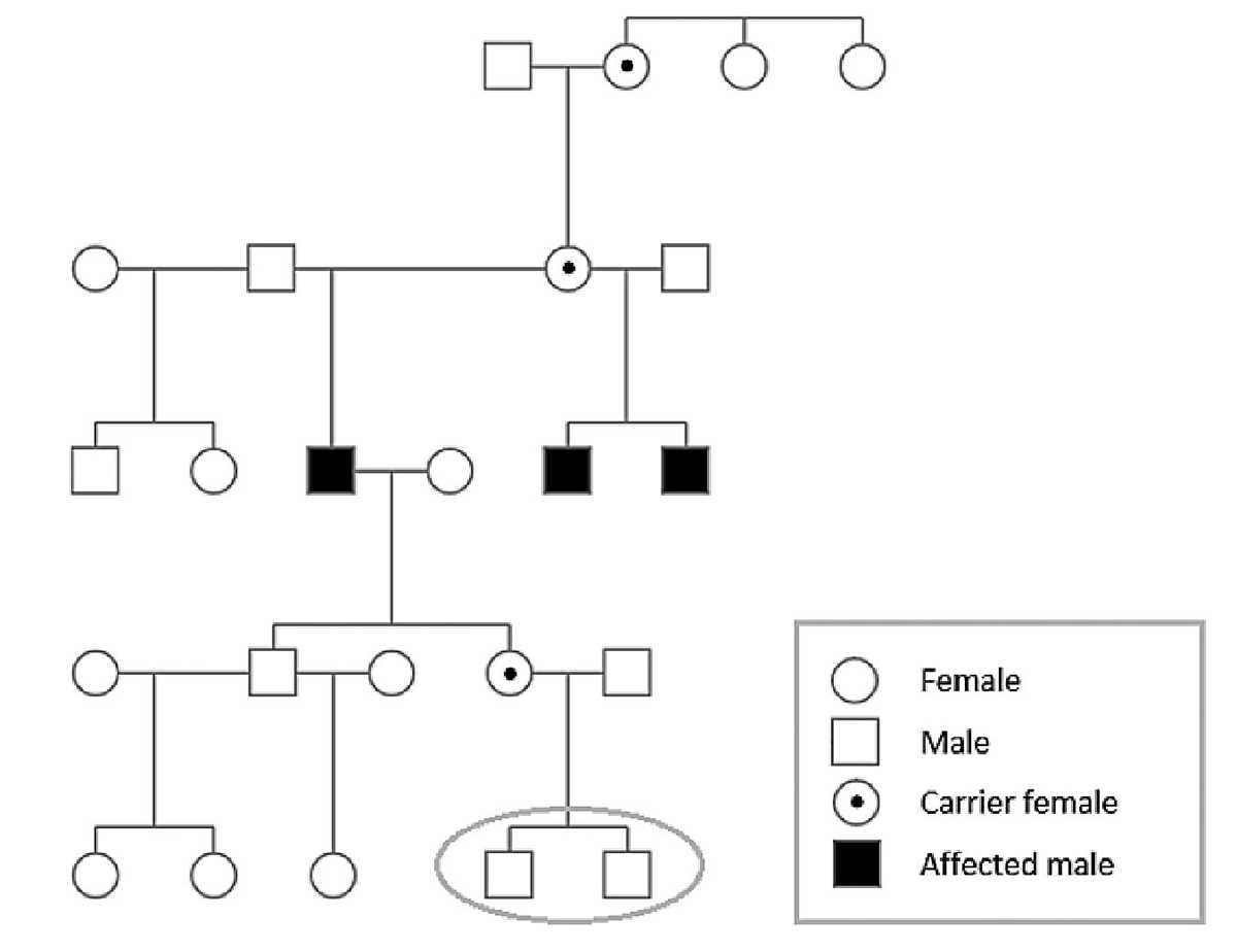genetic tests almost always yield definitive answers