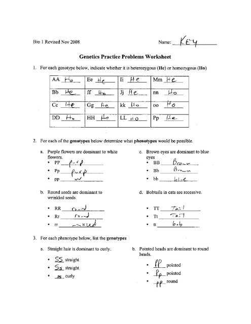 genetics test review answer key