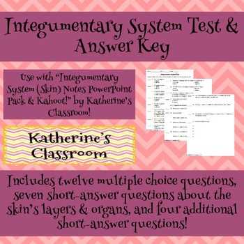 integumentary system test questions and answers