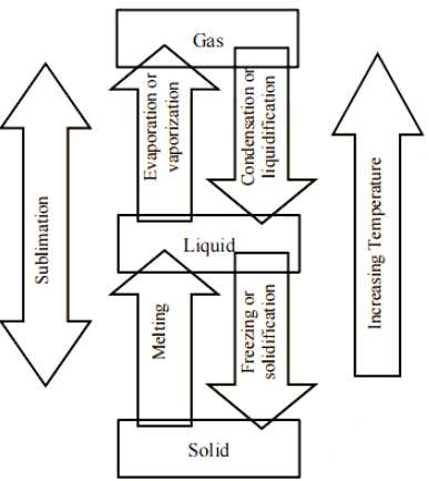 it essentials chapter 1 9 final exam answers