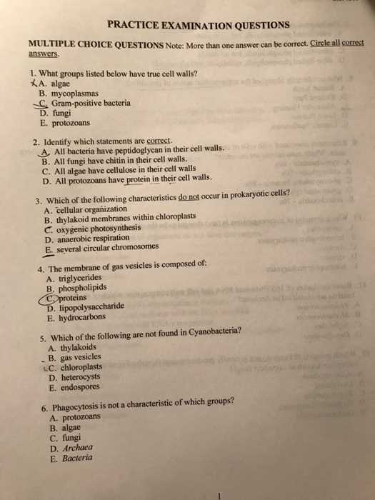 ites exam questions and answers ites exam questions and answers