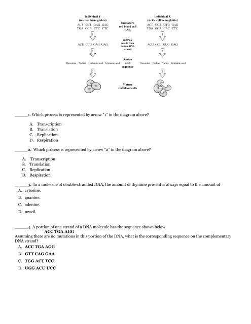 safesport test answers