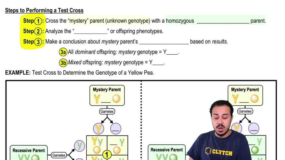 test cross worksheet answer key