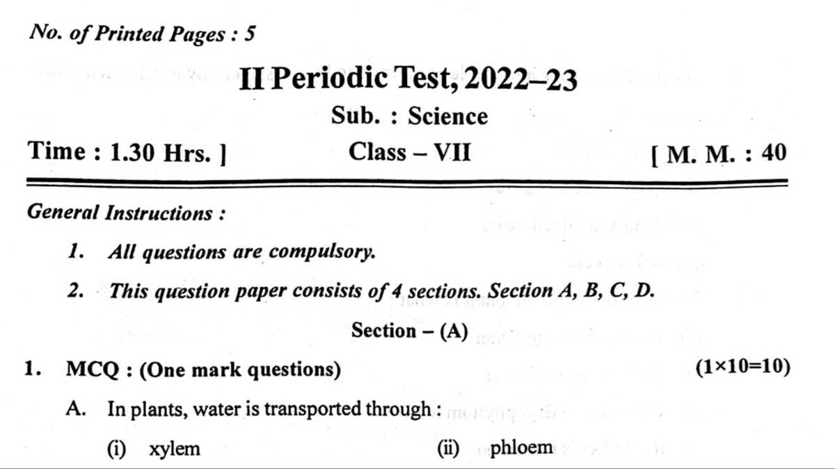 year 7 science test papers with answers