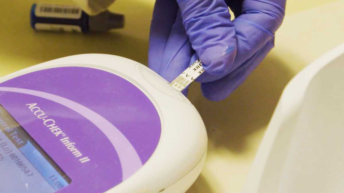accu chek inform ii system test answers