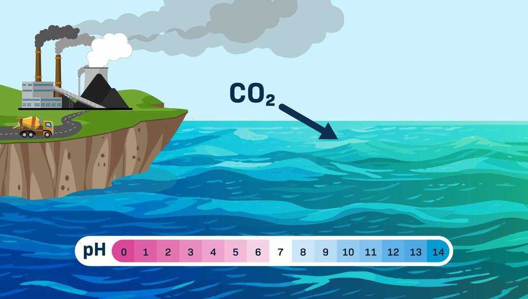 acid test the global challenge of ocean acidification worksheet answers