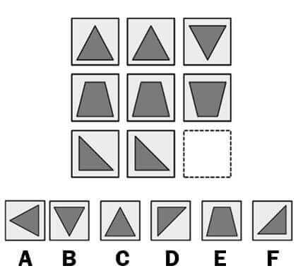alva logic test answers