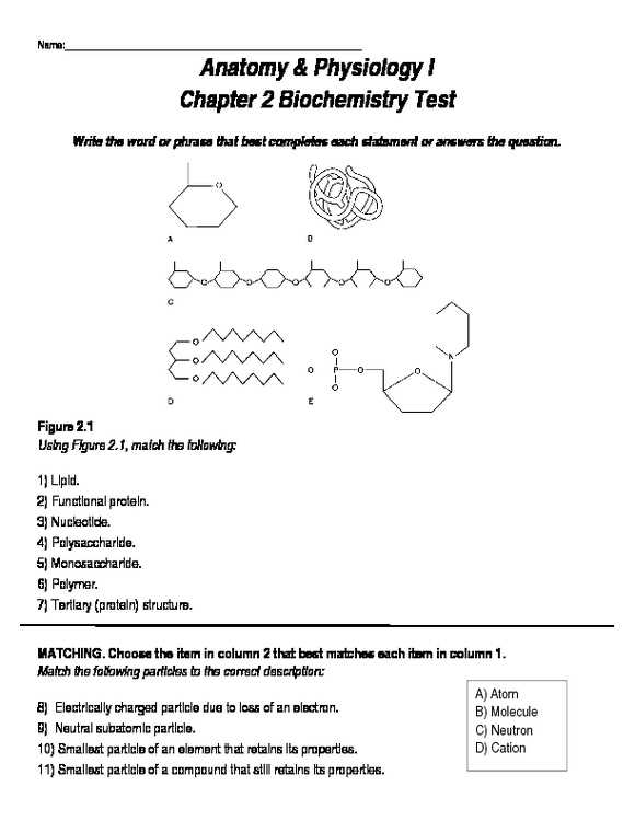 anatomy and physiology chapter 8 test answers
