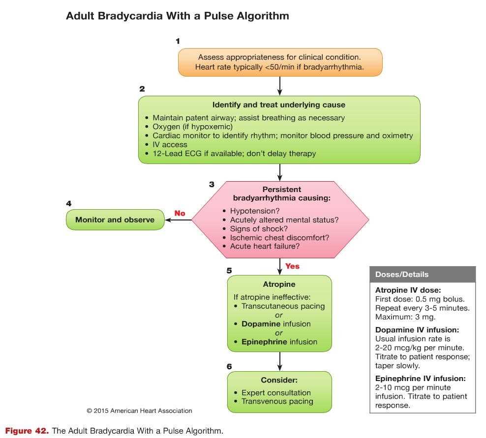 american heart association acls test answers 2010