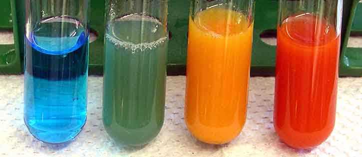 benedicts test for simple carbohydrates labster answers