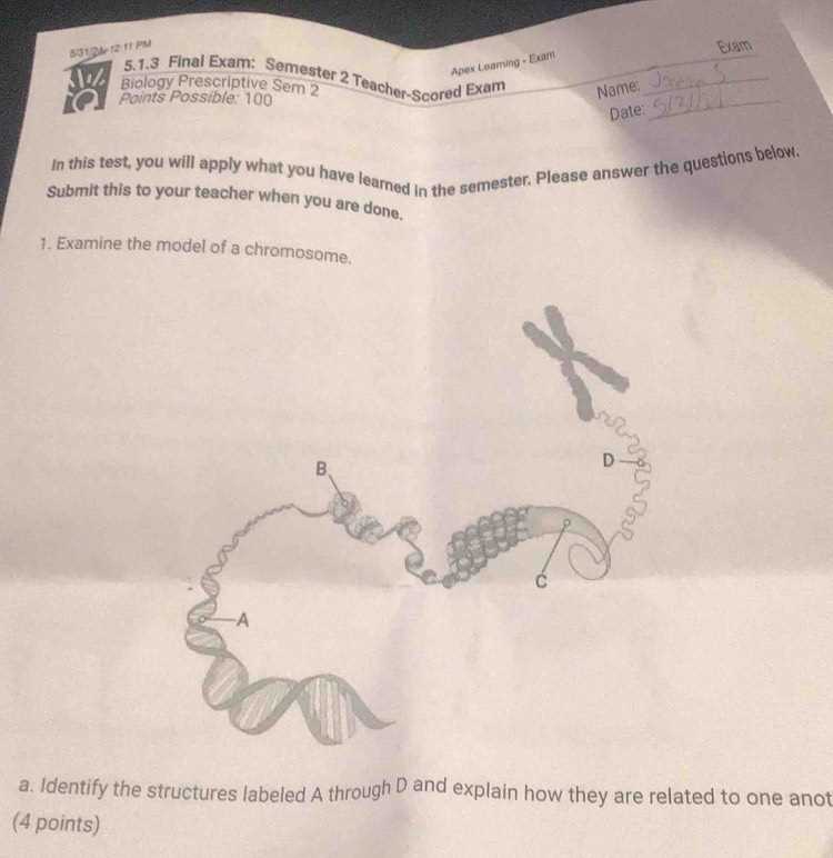biology end of course exam answers