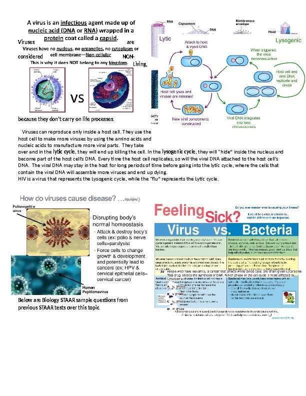 biology staar test 2026 questions and answers