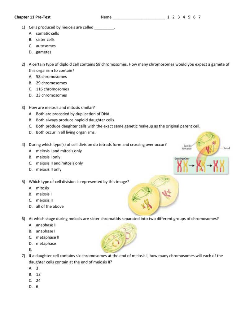 cell division test answer key