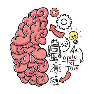 brain test pictures with answers