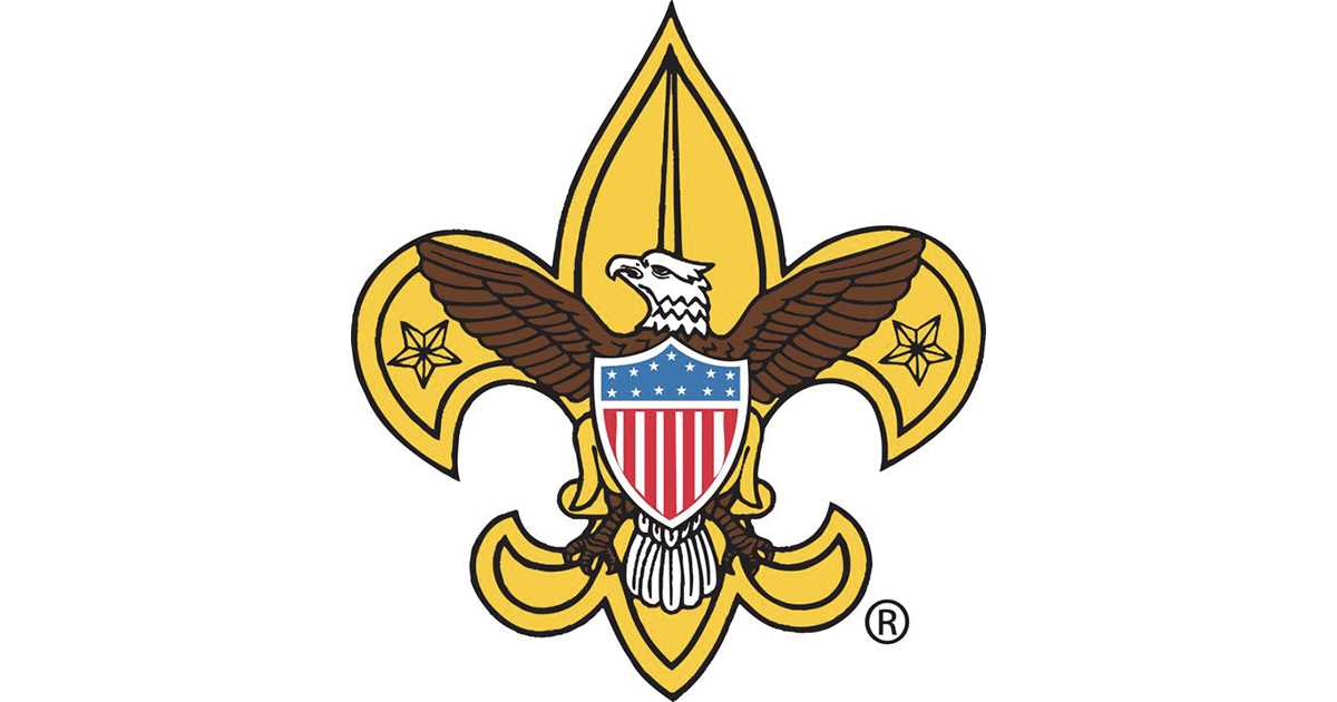 bsa youth protection test answers bsa youth protection test answers
