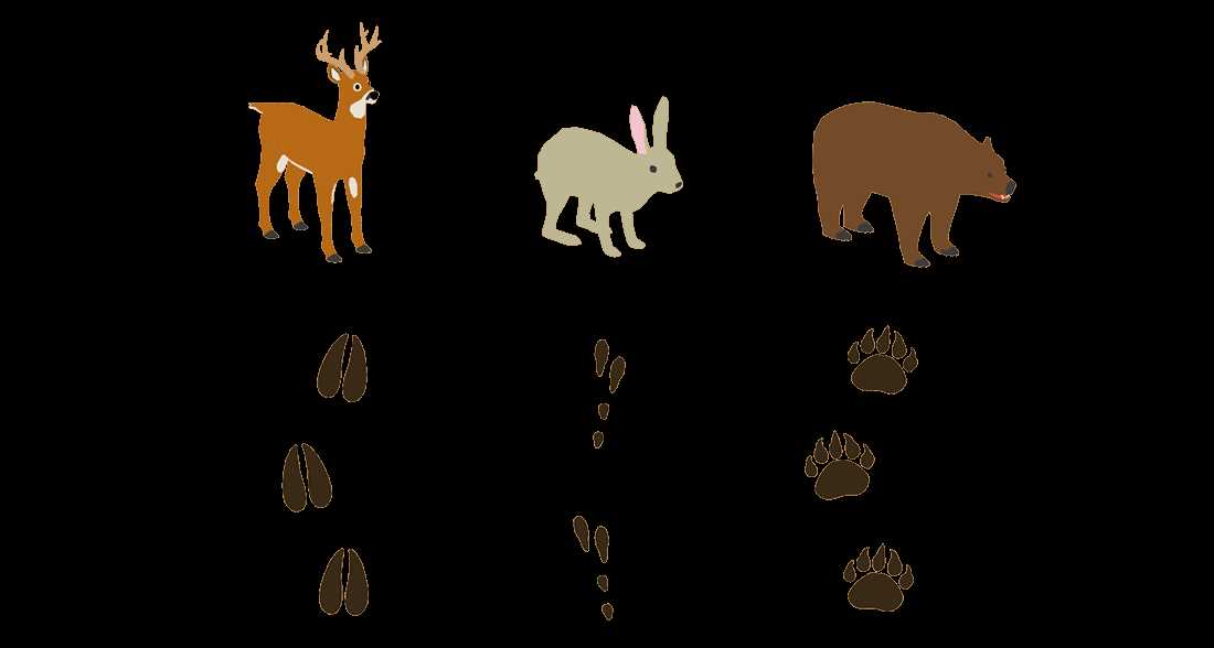 hunters ed practice exam answers