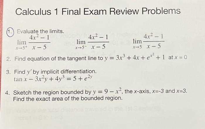 calculus problems and answers test