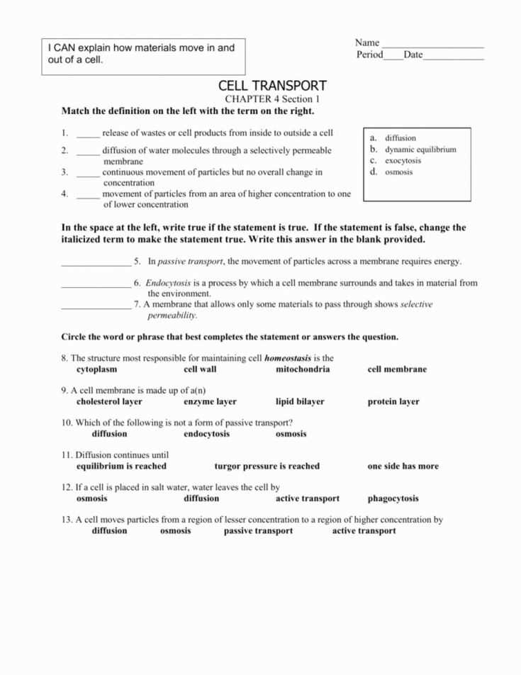 cells and cell transport test answer key