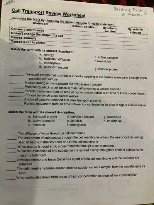 cellular transport test review answer key