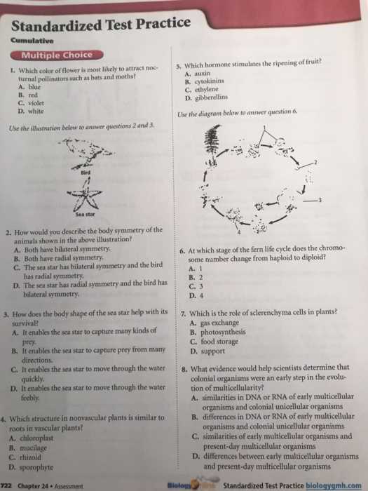 chapter 4 standardized test practice answers