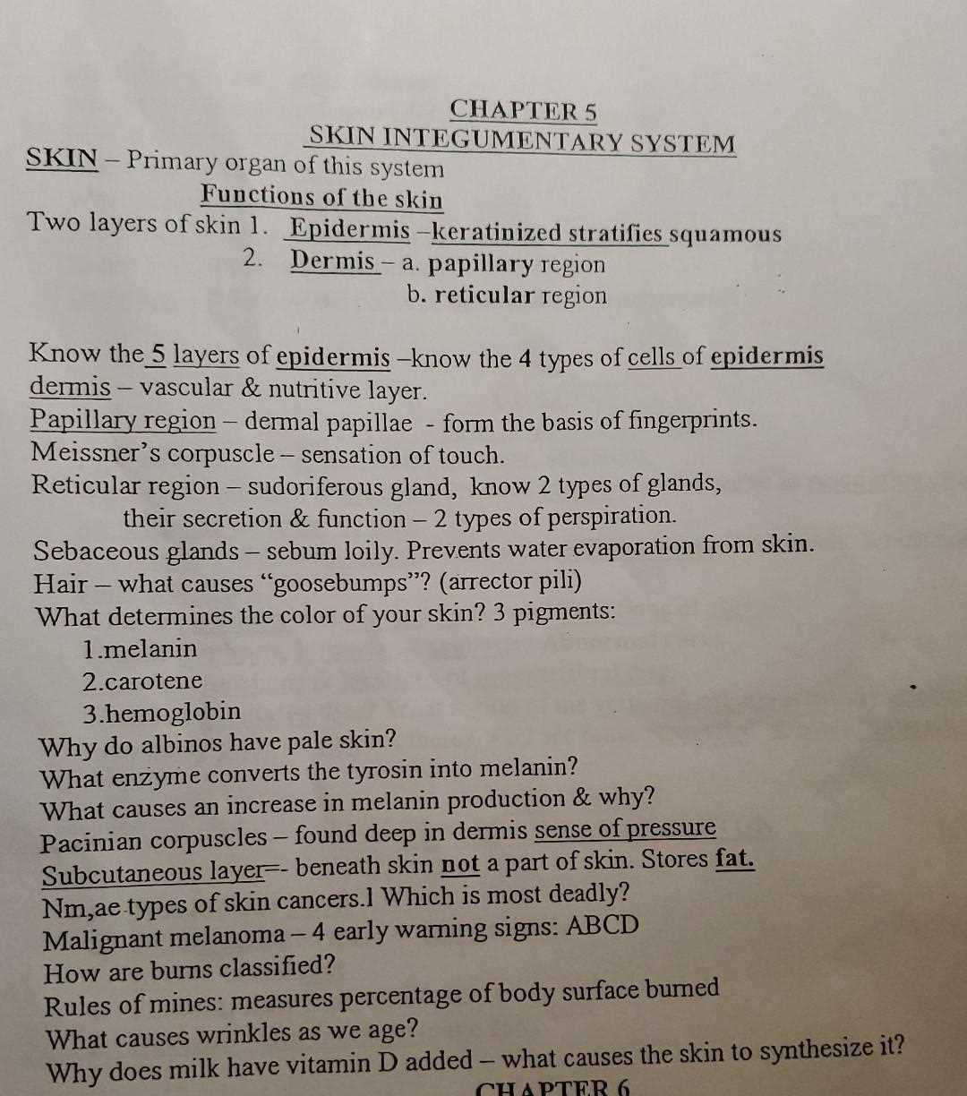chapter 5 exam answers