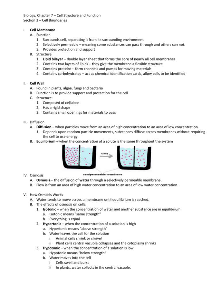 chapter 7 biology test answers