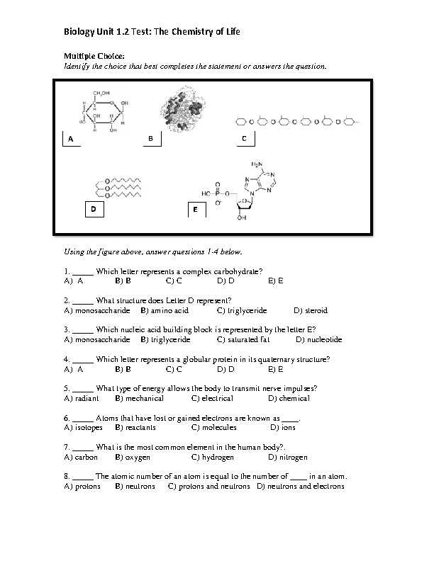chemistry of life test answer key