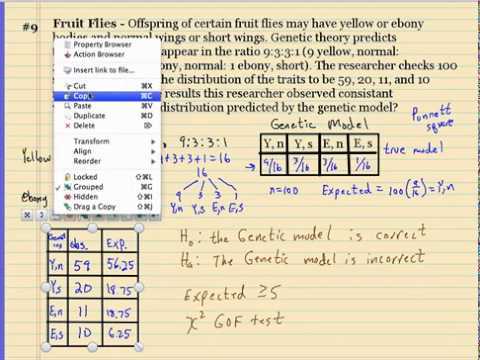 chi square test questions answers