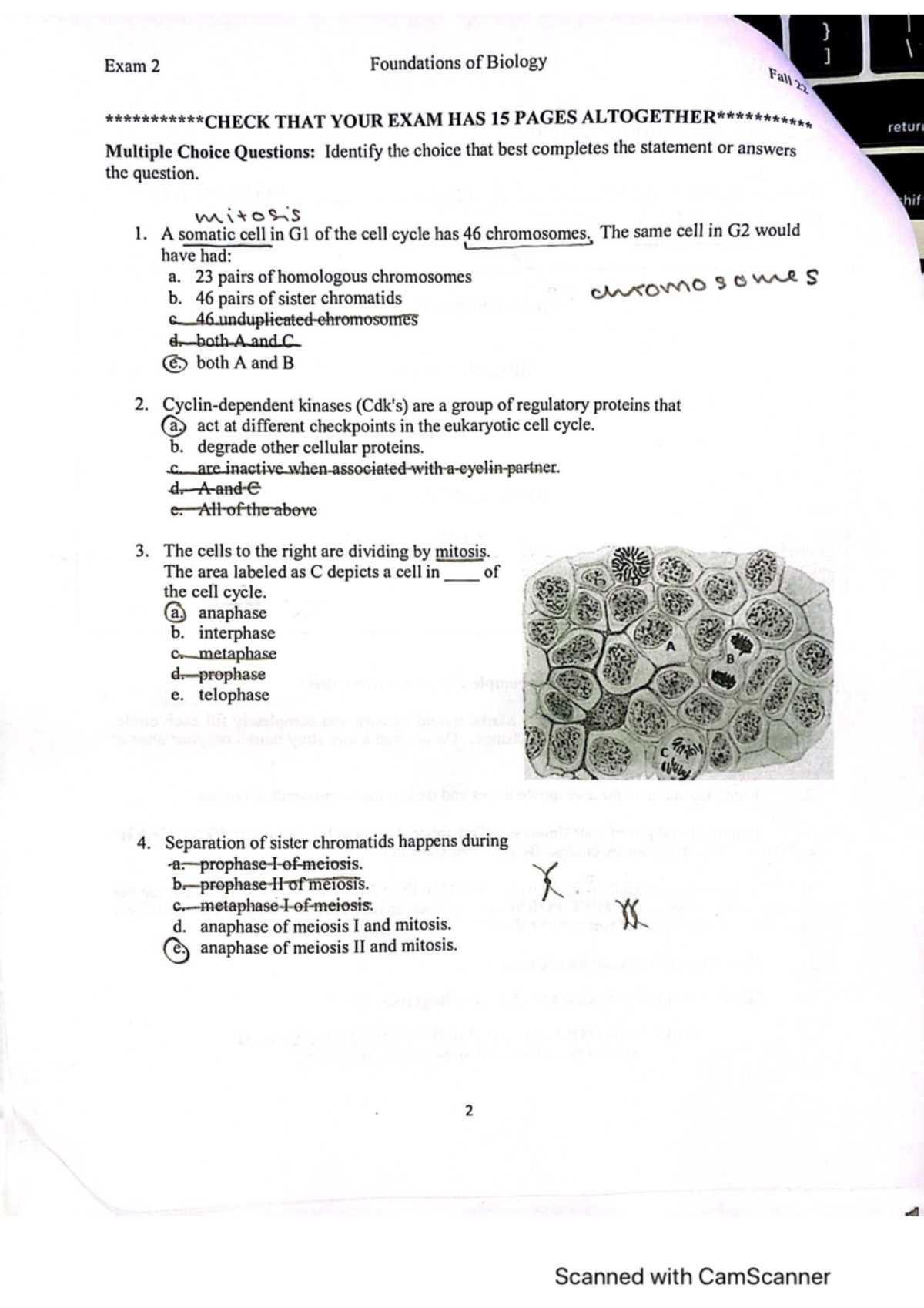 biology exam 2 answers