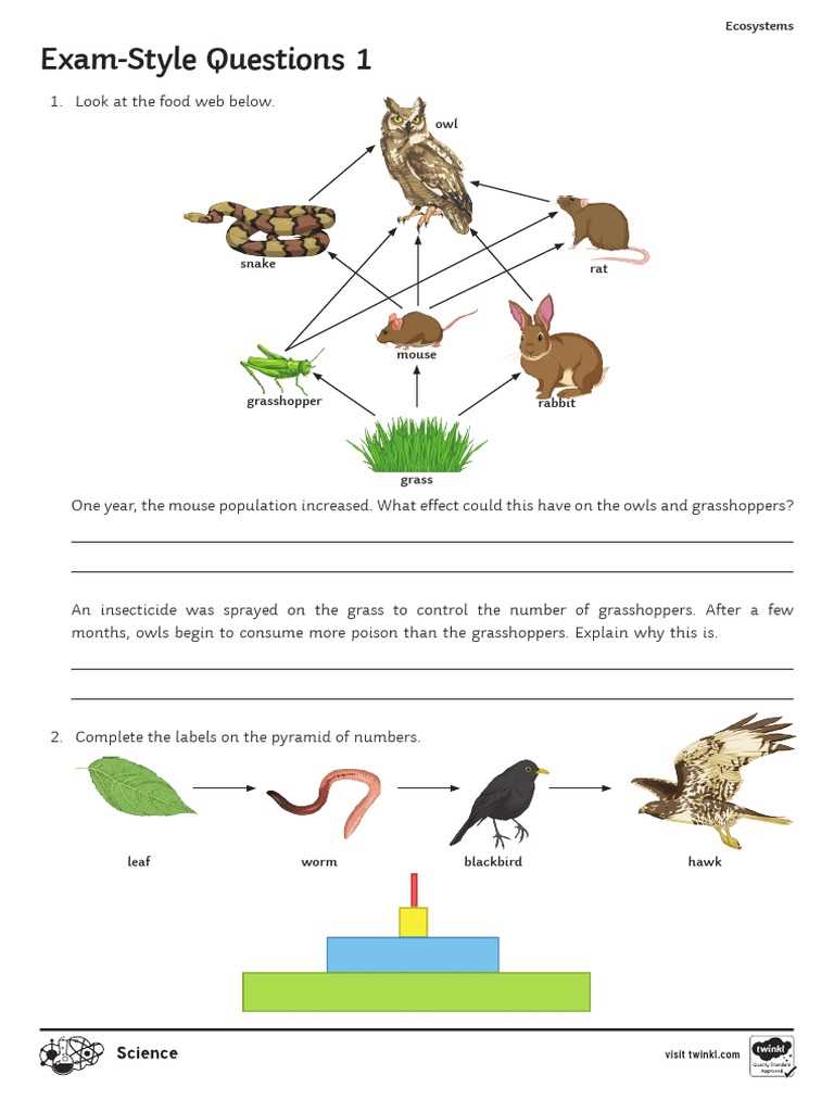 ecosystem test questions and answers