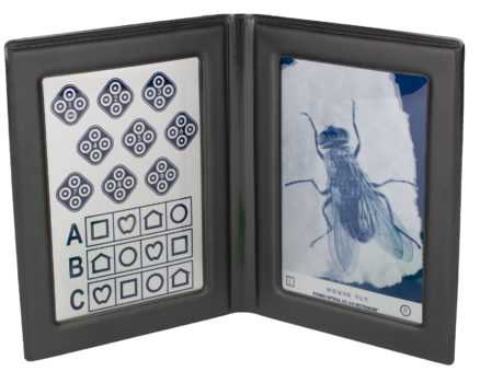 stereo fly test answers
