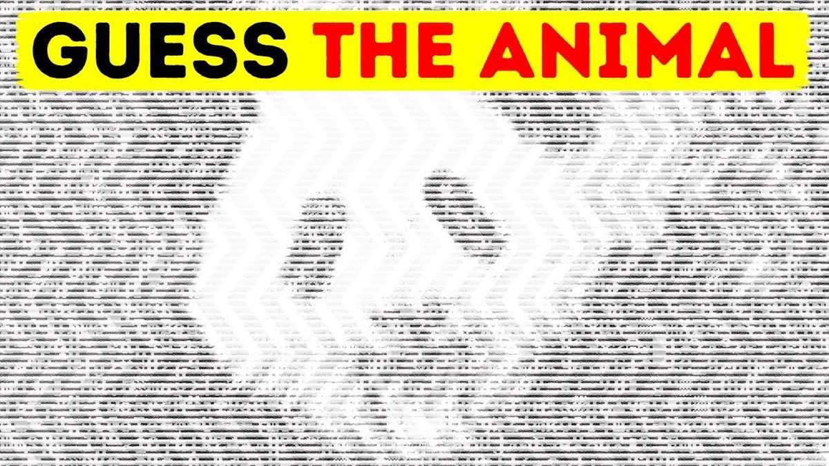 eye test puzzle with answer
