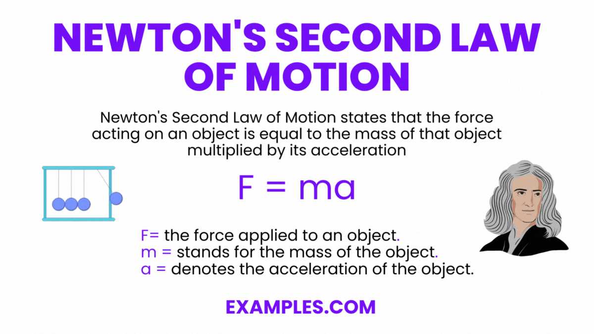 forces and motion unit test study guide answers