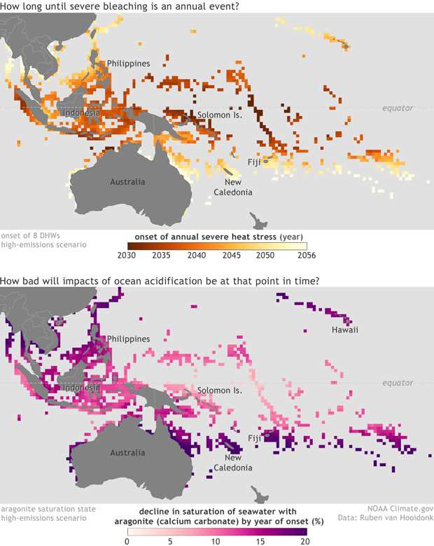acid test the global challenge of ocean acidification worksheet answers