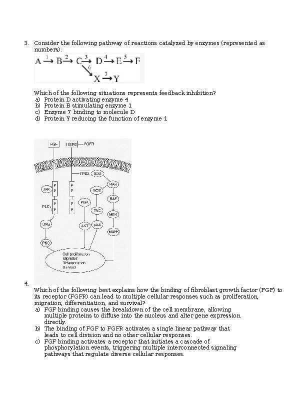 biology unit 4 test answers