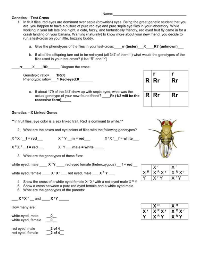 crossover test answers